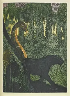 Felinae Prints: The python, Kaa and the panther, Bagheera