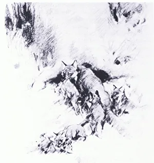 George Denholm Armour Prints: Rabbit for dinner (litho)