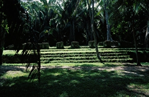 Overgrown Prints: Raised platform covered by vegetation