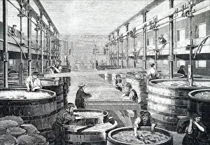 Fernando Alberto Prints: The refining of cornflour