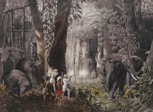 Lithoprint Prints: Reise... in Ost-Indien, Ceylon, Java, China und Bengalen (hand-tinted lithographs)