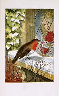Precipitation Prints: A robin