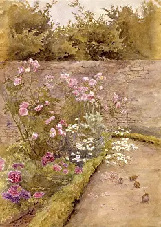 Minnie Smythe Prints: A Rose Border