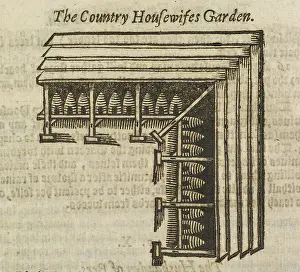 Beekeeper Prints: Rows of beehives
