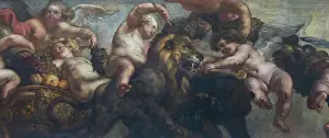 Chordate Prints: The Rubens ceiling