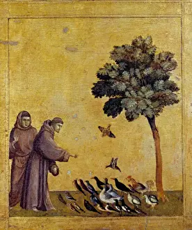 saint francois assisi preaching birds Trending Item 6