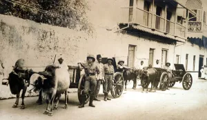 Salvaged British guns still useful, Zanzibar, 1914 (b/w photo) Salvaged British guns still useful, Zanzibar, 1914 (b/w photo)