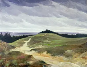 Sandy Path