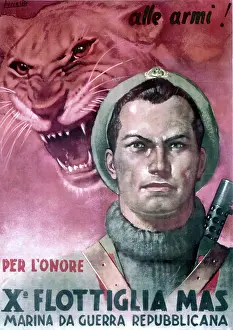Tiger Prints: Second World War