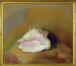 Odilon Redon Prints: The shell