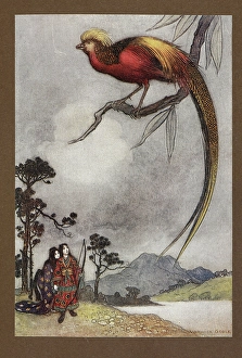 Images Dated 16th January 2025: The singing bird of Heavan
