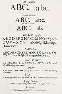 Specimen typefaces