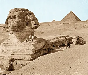 Desert Area Prints: The Sphinx