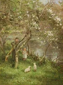 Springtime