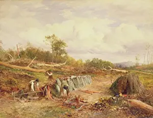 Stacking the Oak Bark