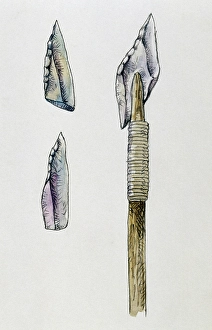 Arrowhead Prints: Stone arrowheads and tools, drawing, Prehistory, Mesolithic