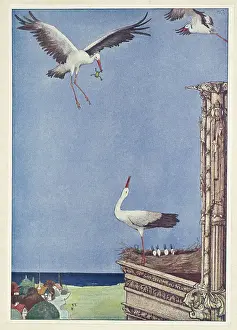 Stork Prints: The Storks