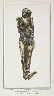 Studies of the effects of decomposition