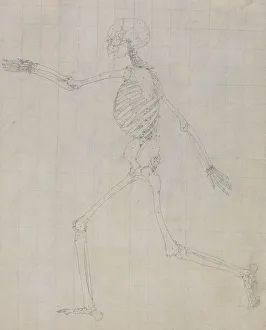 Images Dated 2023 November: Study of the Human Figure, Lateral View