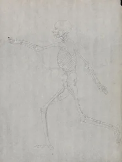 Stubbs George 1724 1806 Prints: Study of the Human Figure, Lateral View