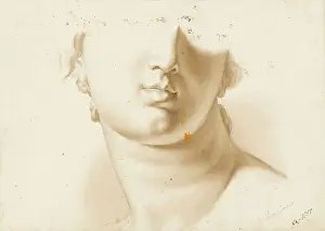 Hidden Face Prints: Study of the lower half of a human face, possibly a statue, 1850 (brown wash)