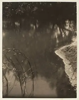 Doris Ulmann Prints: Study of trees reflected in water, c.1925-34 (platinum print)