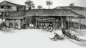 Free Trade Prints: Sugar processing plant in Pernambuco, 1647, engraving, Brazil, 17th century