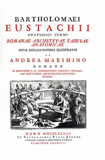1780s Prints: Tabulae anatomicae