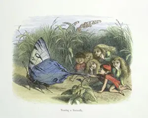Fictional Places Prints: Teasing a butterfly