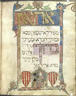 Images Dated 2009: Text page