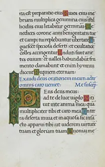Text page with initial D