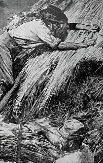 Thatch Prints: The thatching of a barn