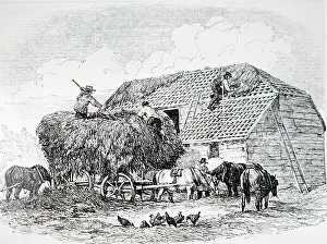 Thatch Prints: The thatching of a barn