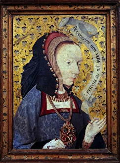 Thought lady. His words are written on a headband: 'De Quilque Non Vede Thought lady. His words are written on a headband: 'De Quilque Non Vede