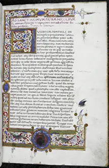 Heraldries Prints: Three-sided white vine border with a large initial E'(usebium)