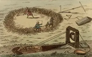 Threshing Prints: Threshing corn using a horse pulling a sledge