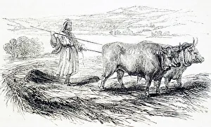 Threshing Prints: Threshing using a drag pulled by oxen