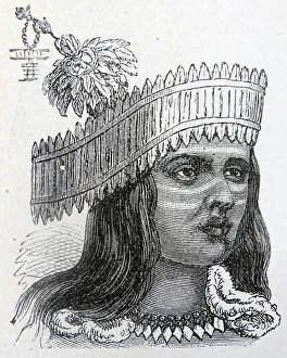 A Tipo native