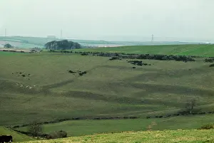 Sixth Century Ad Prints: Traces of Celtic fieldS in Dorset from
