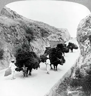 Korea Prints: Traders, 1900