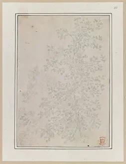 Journeys Prints: A tree