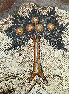 Vith Century Prints: A tree with fruit