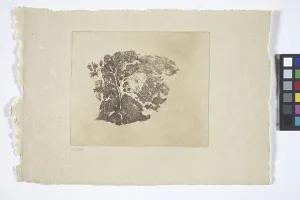 Emil Carlsen Prints: Tree Study (ink)