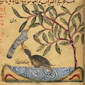 Tortoise Prints: Turtle catching a bird