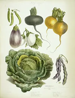 Onion Prints: Various vegetables