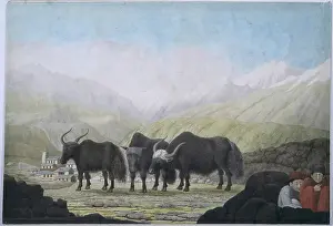 Image Techniques Prints: A view of Badrinath