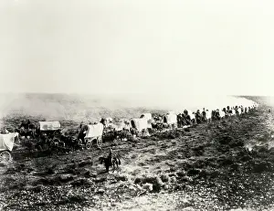 Hitch Prints: Wagon train