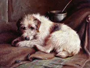 Cats And Dogs Prints: Waiting for Master