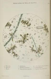 Substance Prints: From water of well at Braested