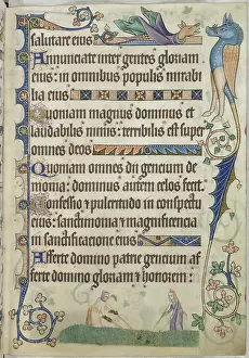 Farrm Prints: Weeding